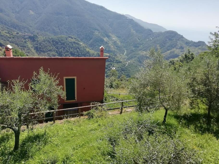 Quiet And Cozy Home With Wi-Fi Casa Prearino Вернацца Екстер'єр фото